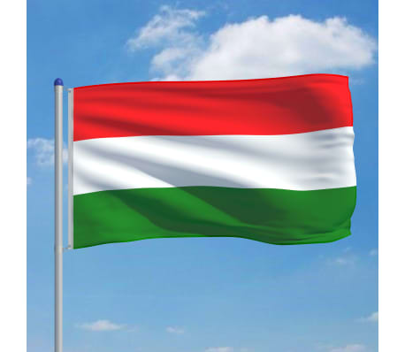 vidaXL Ungarns flag og flagstang 6 m aluminium