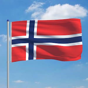 vidaXL Norges flag og flagstang 6 m aluminium