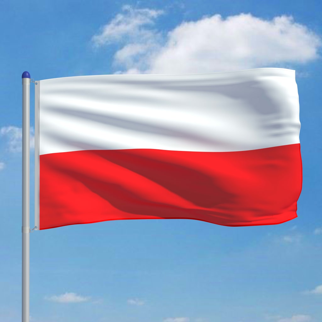

vidaXL Vlag met vlaggenmast Polen 6 m aluminium