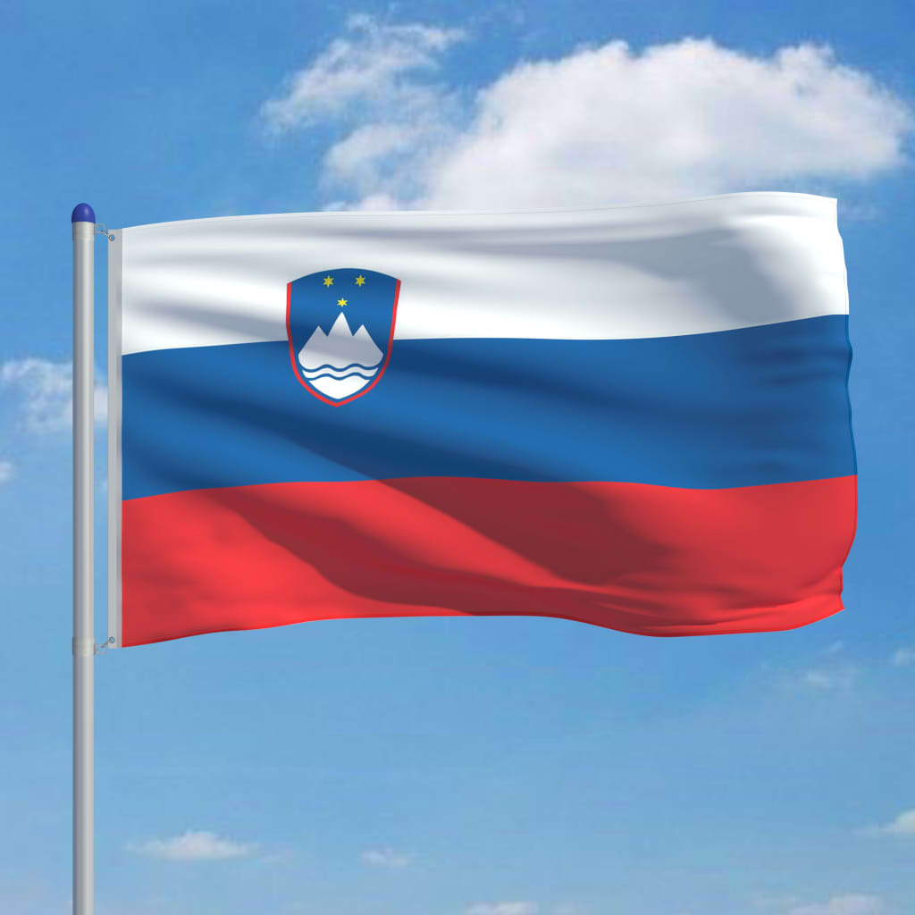 vidaXL Slovinská vlajka a stožár hliník 6 m