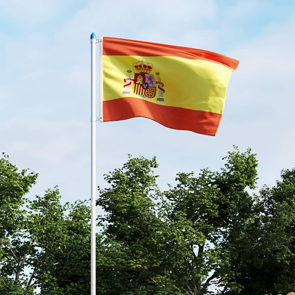 vidaXL Bandera de España y mástil de aluminio 6 m