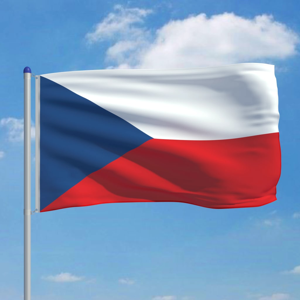 vidaXL Čekijos vėliava su stiebu, aliuminis, 6m
