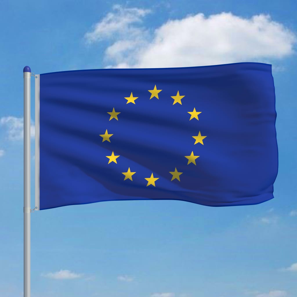 vidaXL Bandera de la Unión Europea y mástil de aluminio 6 m