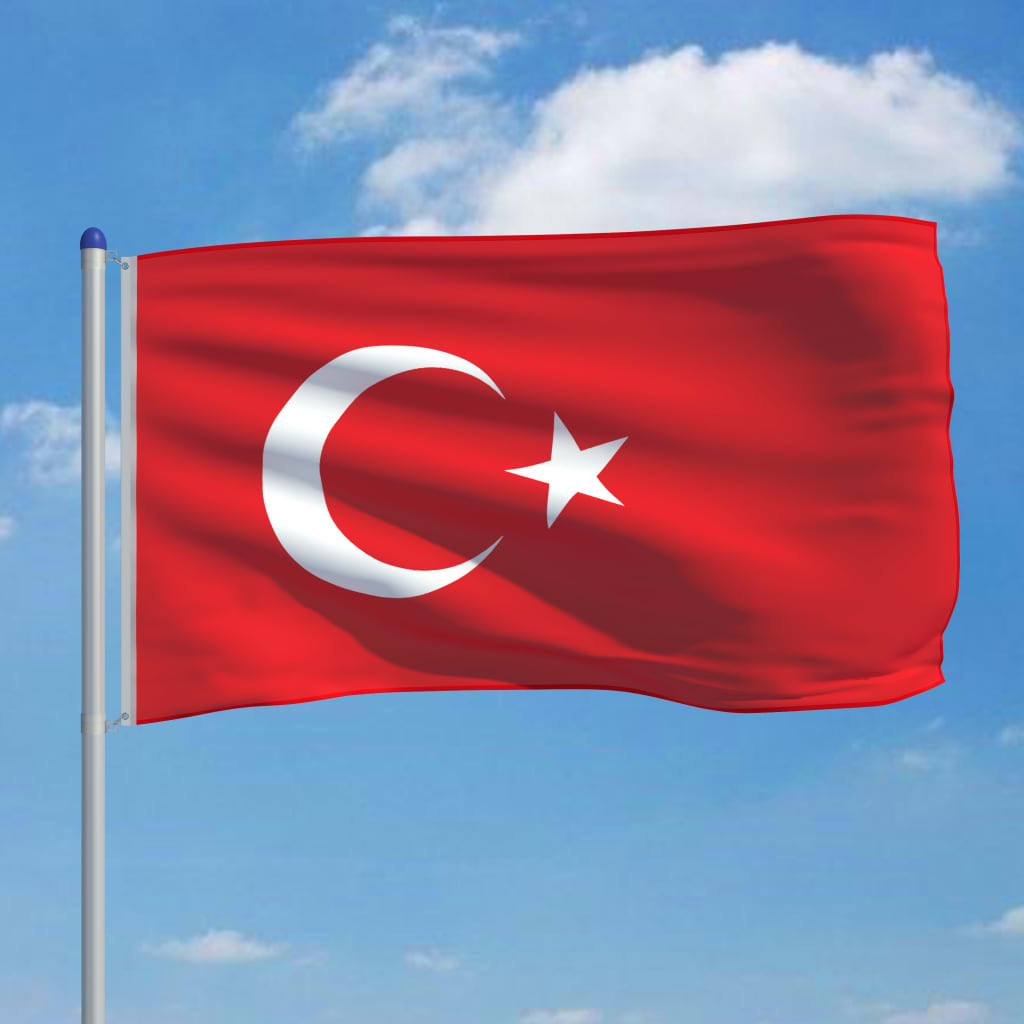 vidaXL Flagge der Türkei und Mast Aluminium 6 m