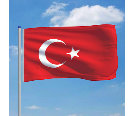vidaXL Turcijas karogs un karoga masts, alumīnijs, 6 m