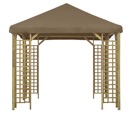 vidaXL Pavėsinė, taupe spalvos, 3x3m