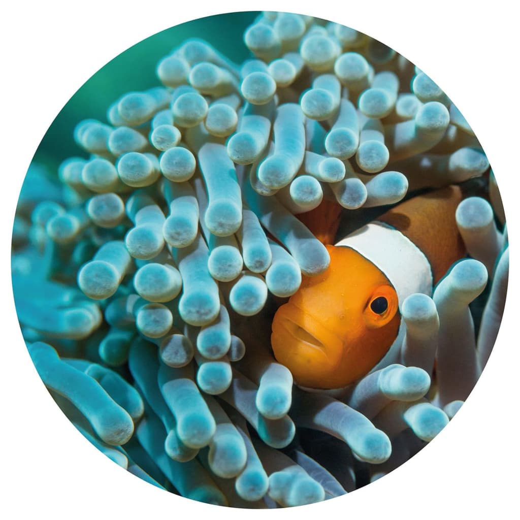 WallArt Tapet în formă de cerc „Nemo the Anemonefish”, 190 cm