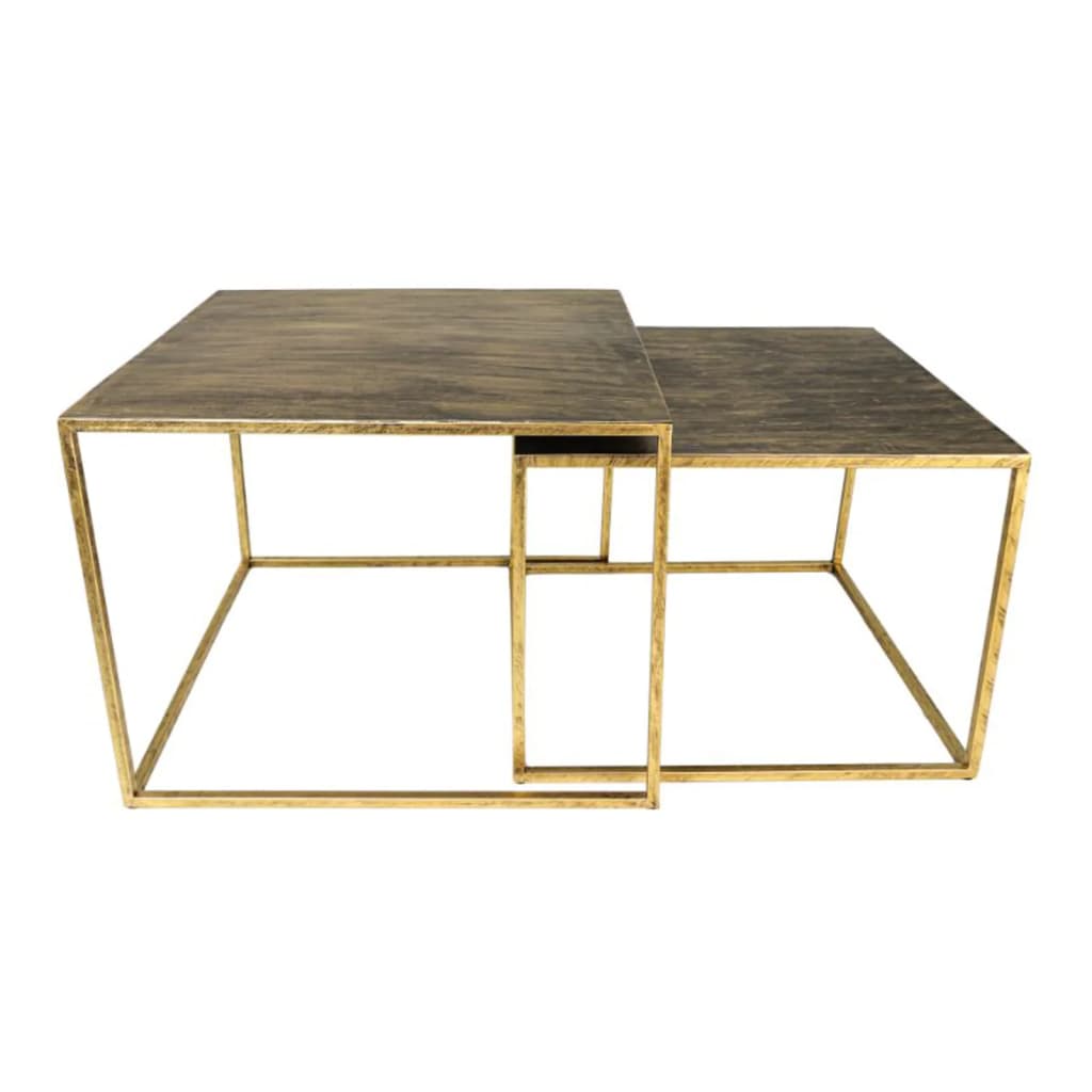 

HSM Collection 2-delige Salontafelset vierkant goudkleurig