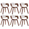 Dark_brown_and_white
