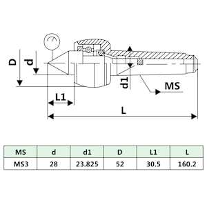 Lehký otočný středící hrot DM313 MT3/MK3 - obrázek 6