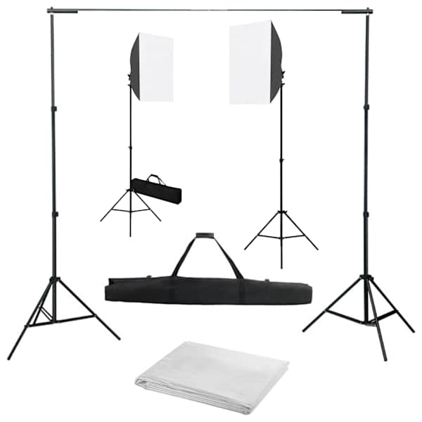 vidaXL fotostuudiokomplekt valgustuse ja taustapildiga
