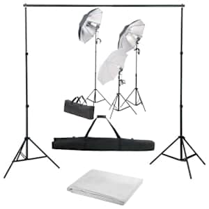 vidaXL fotostuudiokomplekt valgustuse ja taustapildiga