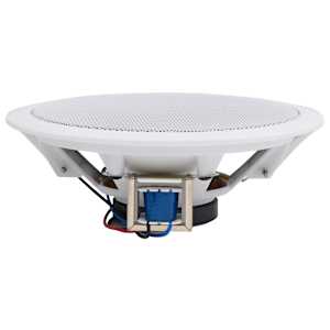 vidaXL iebūvējami sienas un griestu skaļruņi, 2 gab., 120 W