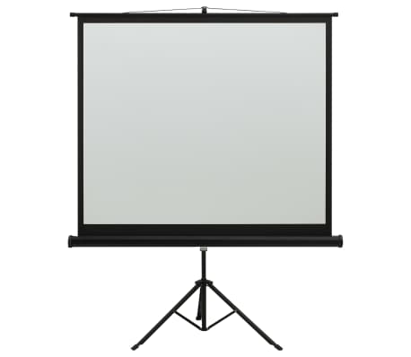 vidaXL Ecran de Projection avec Tr/épied Ecran de Projecteur Cin/éma Maison Salle de Classe Pr/ésentations en Salle de Conf/érence 50 1:1