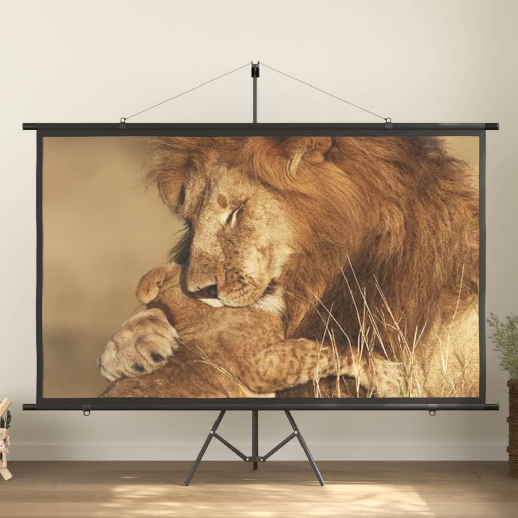 Beamer Leinwand 100″ 16:9