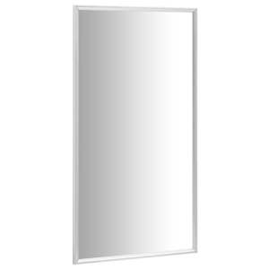 vidaXL Veidrodis, sidabrinės spalvos, 120x60cm