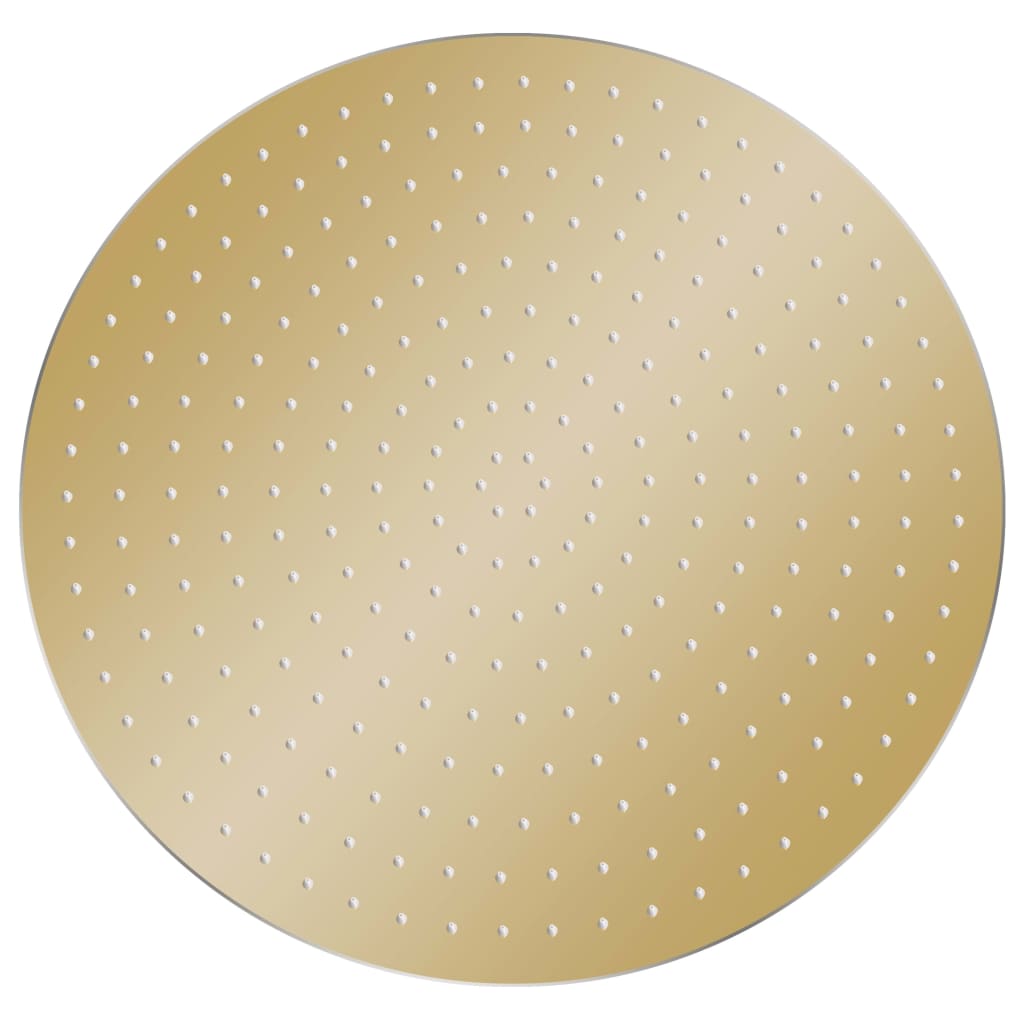 vidaXL Regendouchekop rond 40 cm roestvrij staal goudkleurig afbeelding