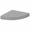 High_gloss_grey