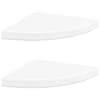 High_gloss_white