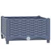 Blue_grey