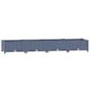 Blue_grey