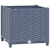 Blue_grey