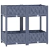 Blue_grey