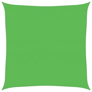 vidaXL p&auml;ikesepuri 160 g/m&sup2; heleroheline 5 x 5 m HDPE