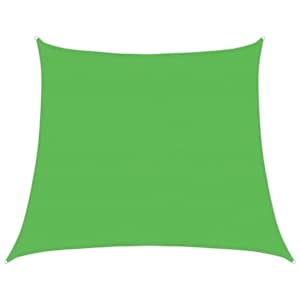 vidaXL p&auml;ikesevari puri 160 g/m&sup2; trapets heleroheline 4/5 x 4 m HDPE
