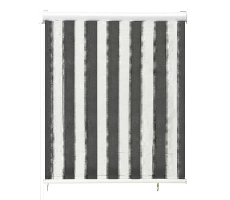 312679 vidaXL Outdoor Roller Blind 60x140 cm Anthracite and White Stripe