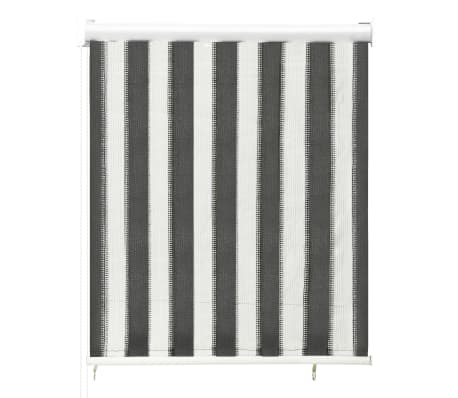 312680 vidaXL Outdoor Roller Blind 80x140 cm Anthracite and White Stripe