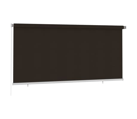vidaXL Lauko roletas, rudos spalvos, 300x140cm, HDPE