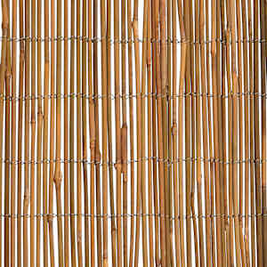 Bambusový plot 500 x 100 cm - obrázek 6