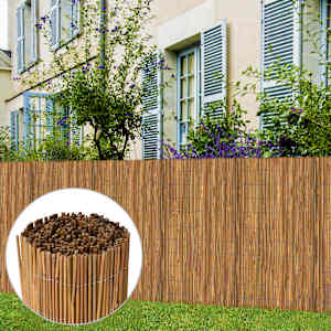 Bambusový plot 500 x 100 cm - obrázek 1