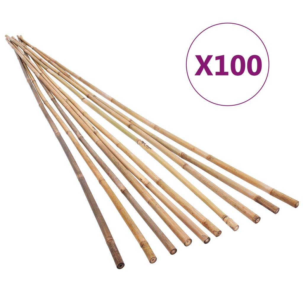 Puutarhan bambukepit 100 kpl 120 cm