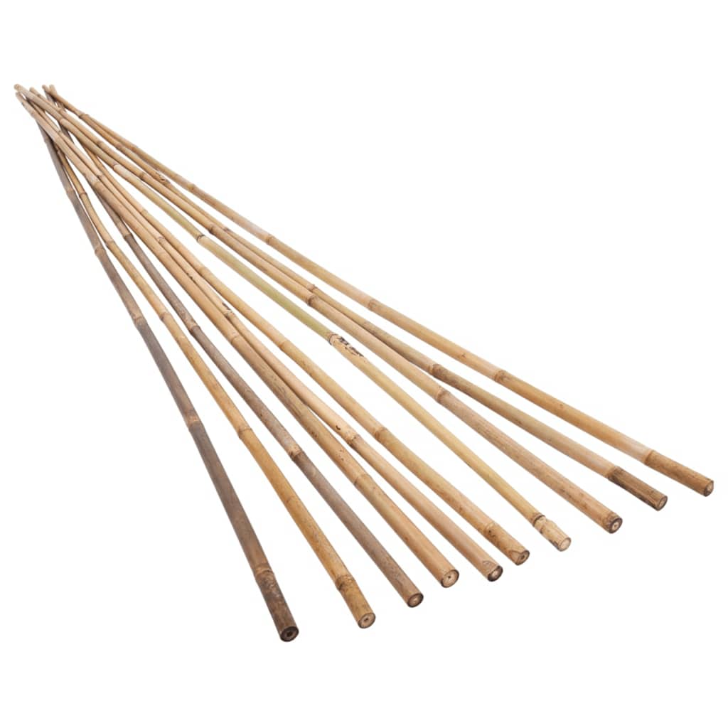 vidaXL dārza bambusa mietiņi, 100 gab., 120 cm