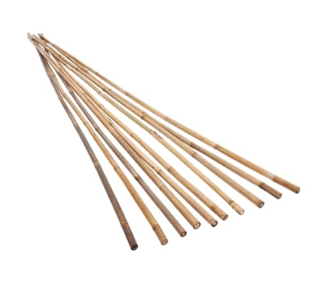 vidaXL dārza bambusa mietiņi, 100 gab., 120 cm