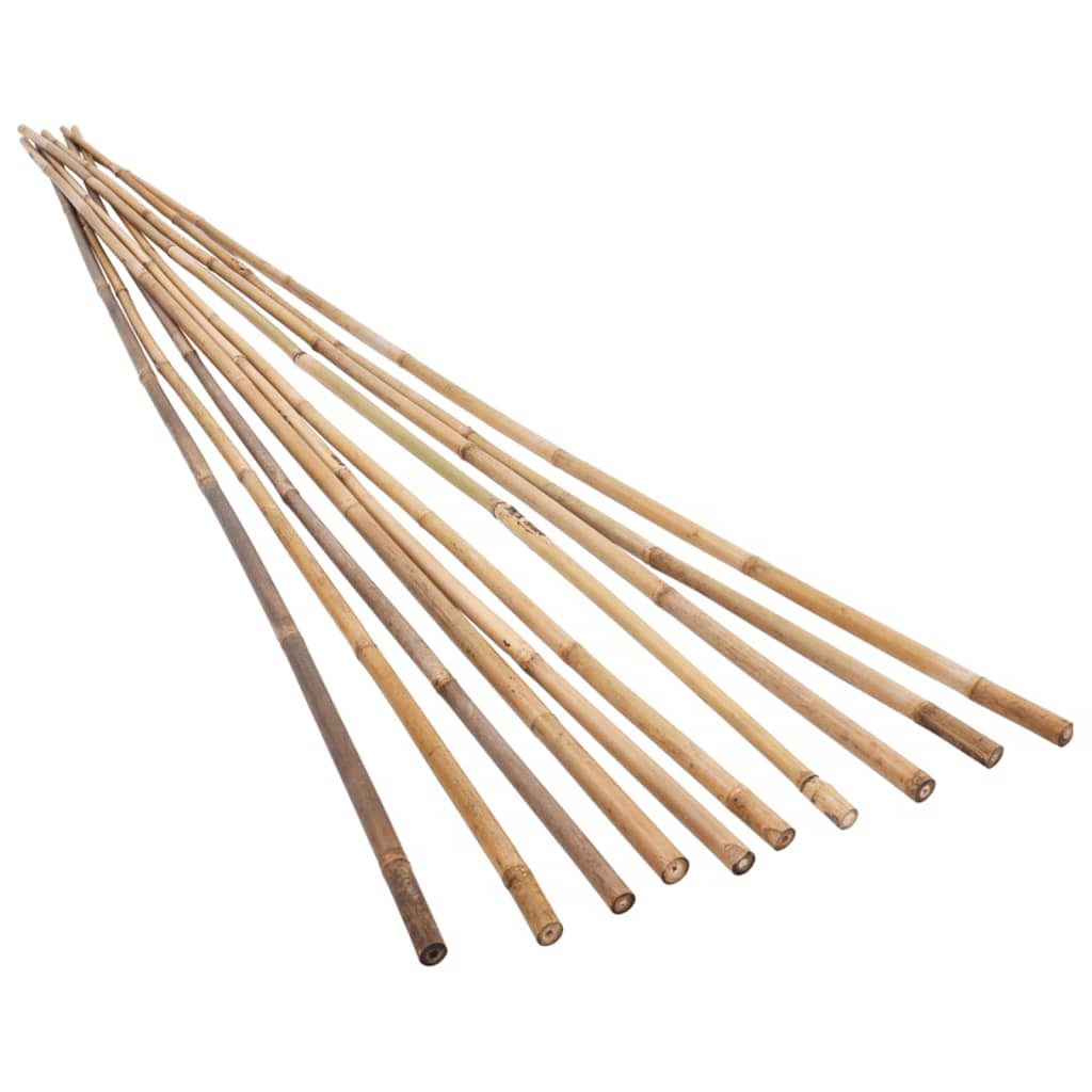 vidaXL Garden Bamboo Stakes 100 pcs 150 cm