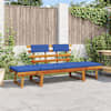 Brown_and_blue