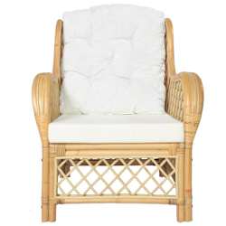 vidaXL Canap&eacute; avec coussin Rotin naturel et lin