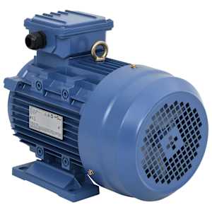 vidaXL 3-faasiline elektrimootor 4kW / 5,5 HP, 2 poolust, 2840 p/min