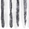 Toote pisipilt  5 / 7