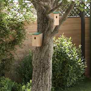 Ptičje hišice 10 kosov trden les jelke 12x12x22 cm