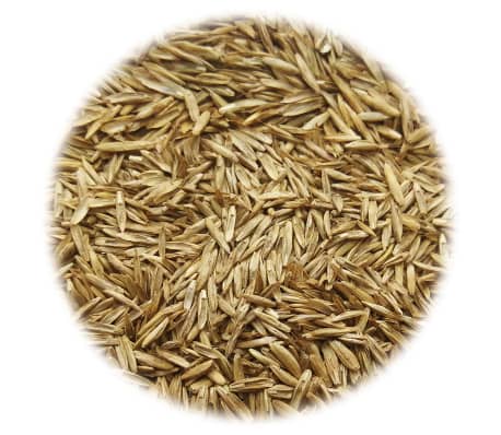 vidaXL Grass Seed for Sports and Play 15 kg