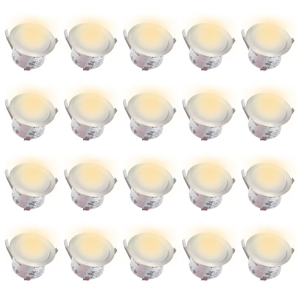 vidaXL Lampes de sol à LED 20 pcs blanc chaud