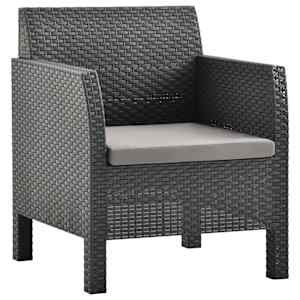 vidaXL aiatool padjaga, antratsiithall, 63 x 65 x 76 cm, PP-rotang
