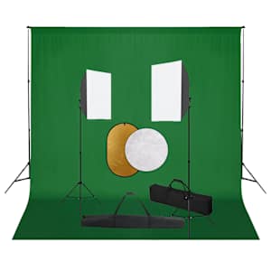 vidaXL fotostuudiokomplekt valgustuse, taustapildi ja reflektoriga