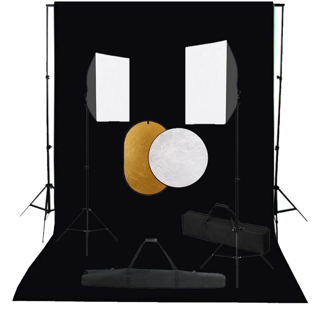 vidaXL Set studio foto cu lumini softbox, fundal și reflector