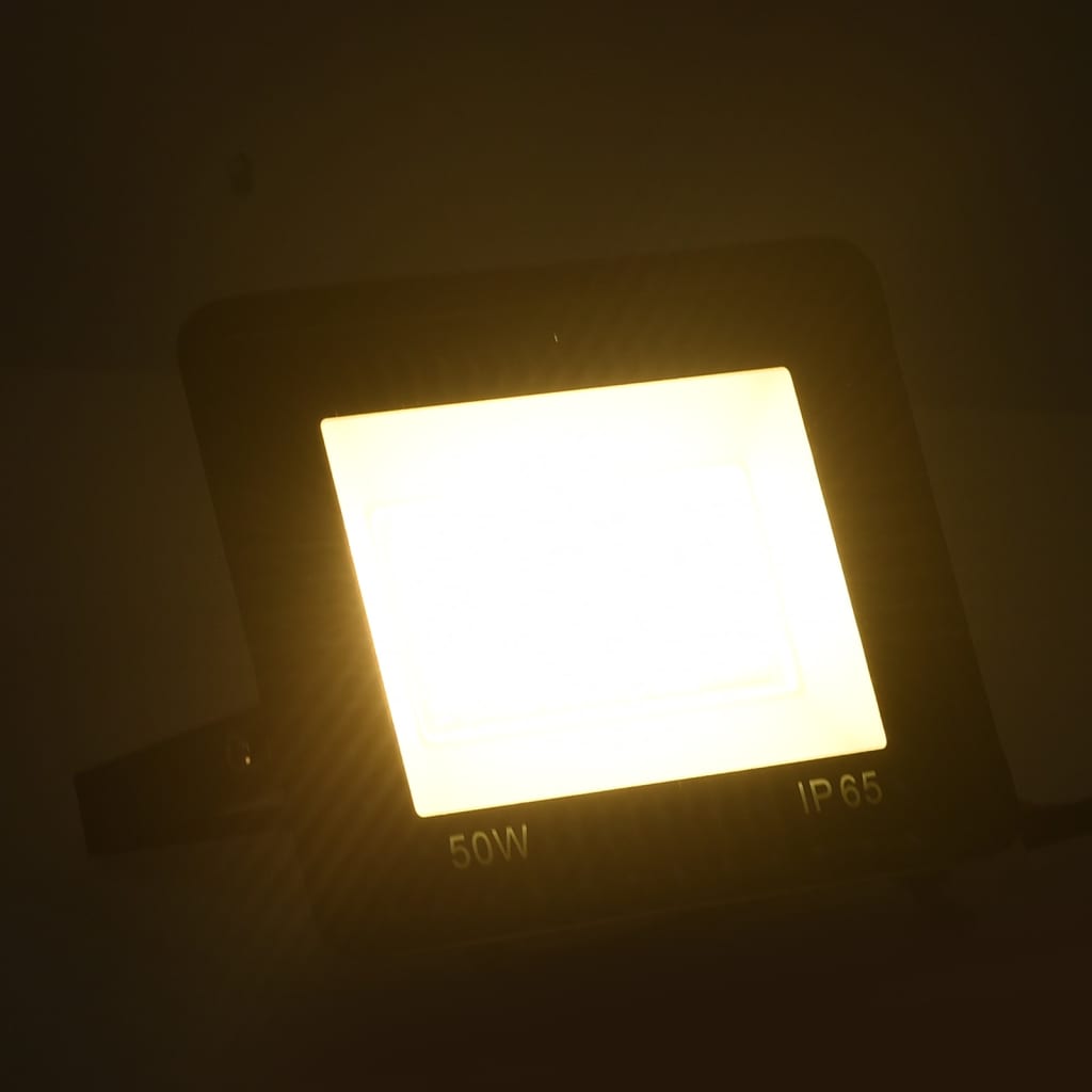 vidaXL LED prožektori, 2 gab., 50 W, silti balta gaisma
