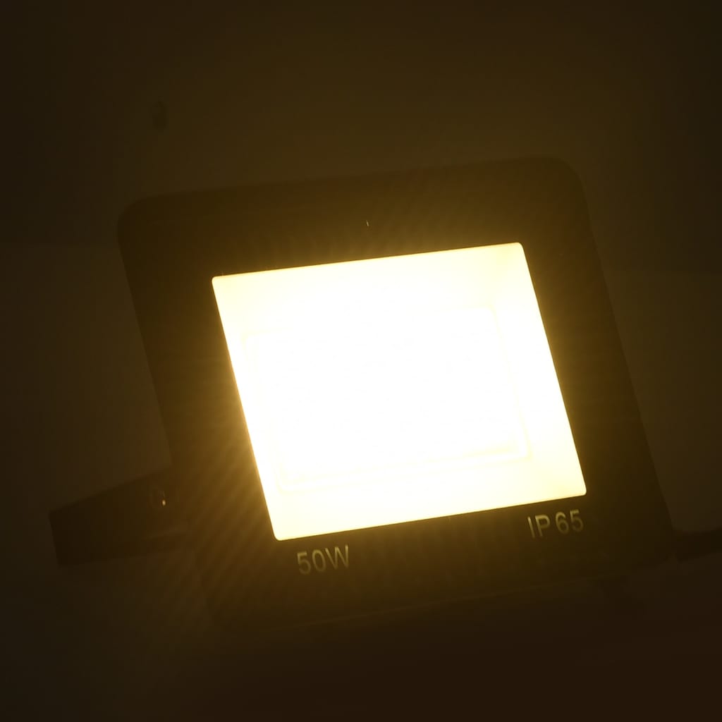 

vidaXL Spotlights 2 st LED 50 W warmwit